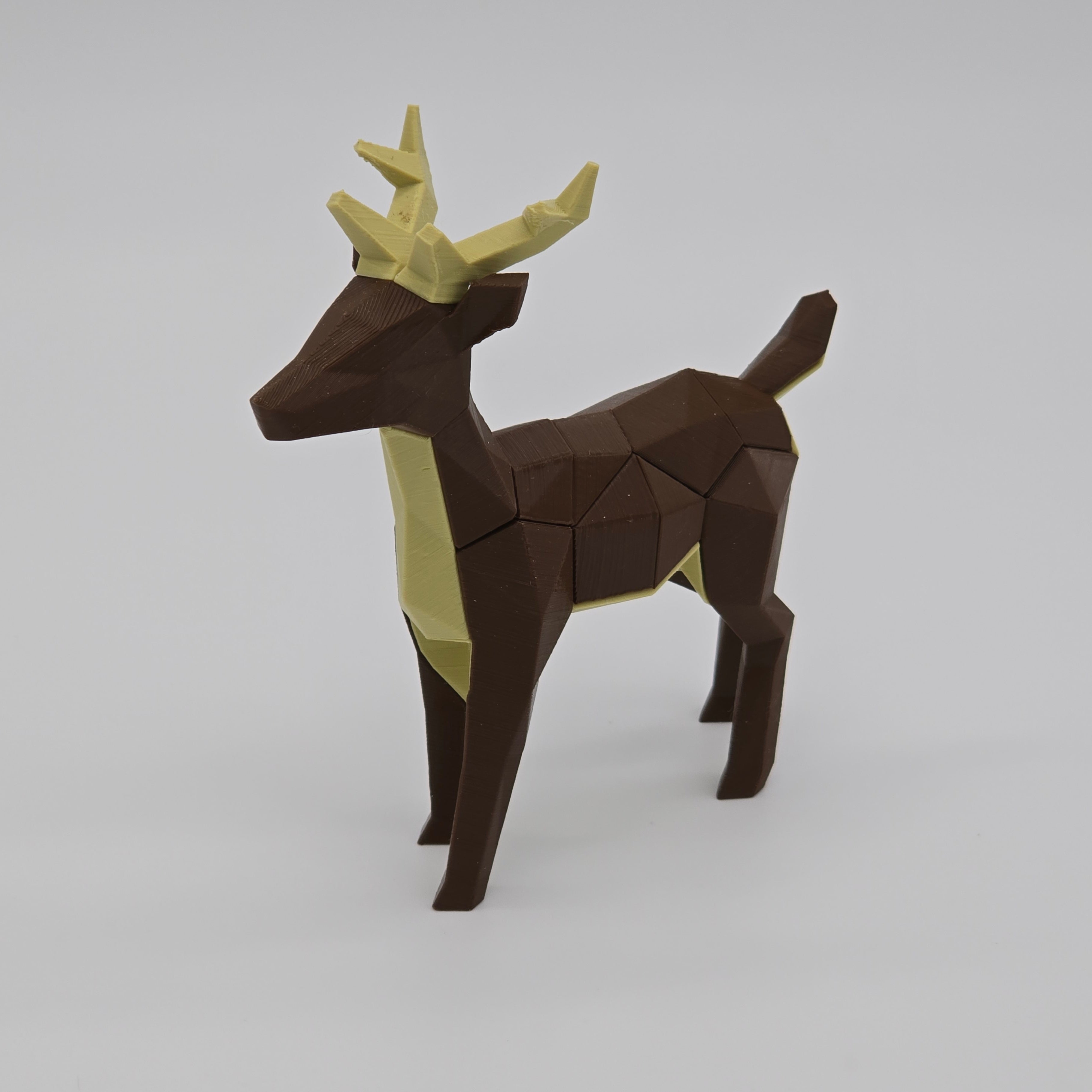 Deer