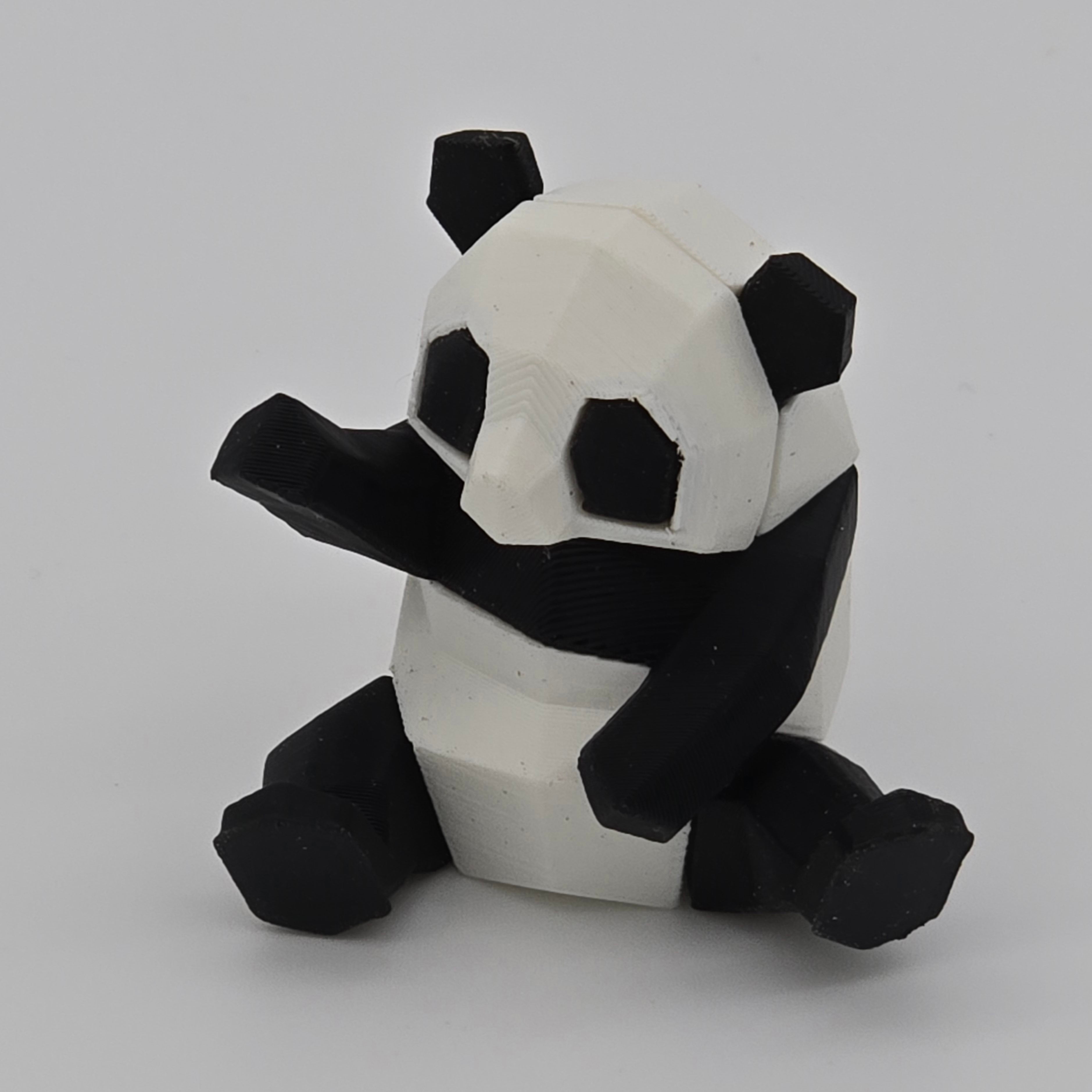 Panda Baby