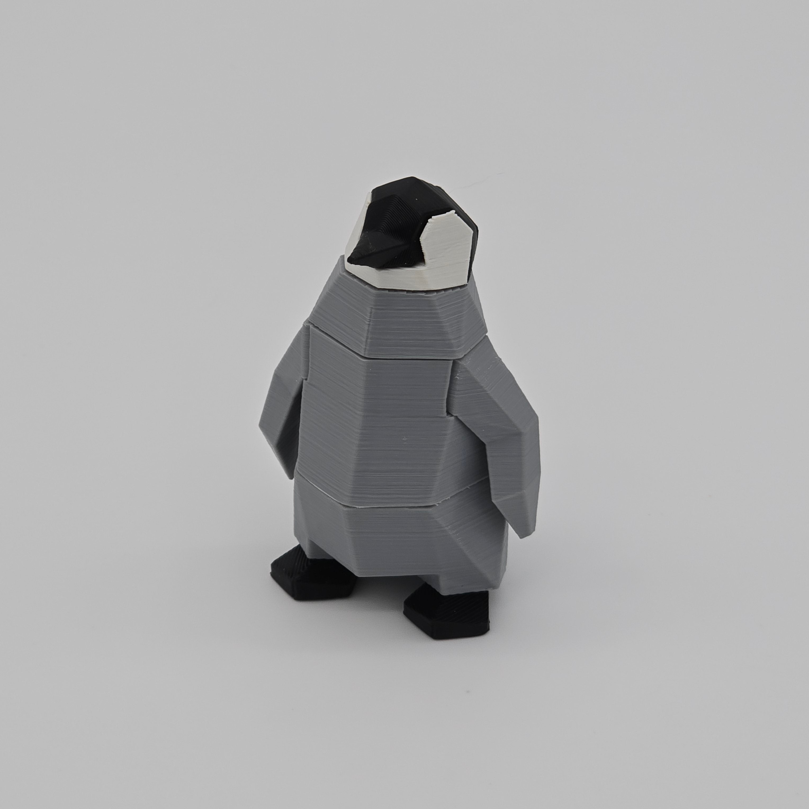 Penguin Chick