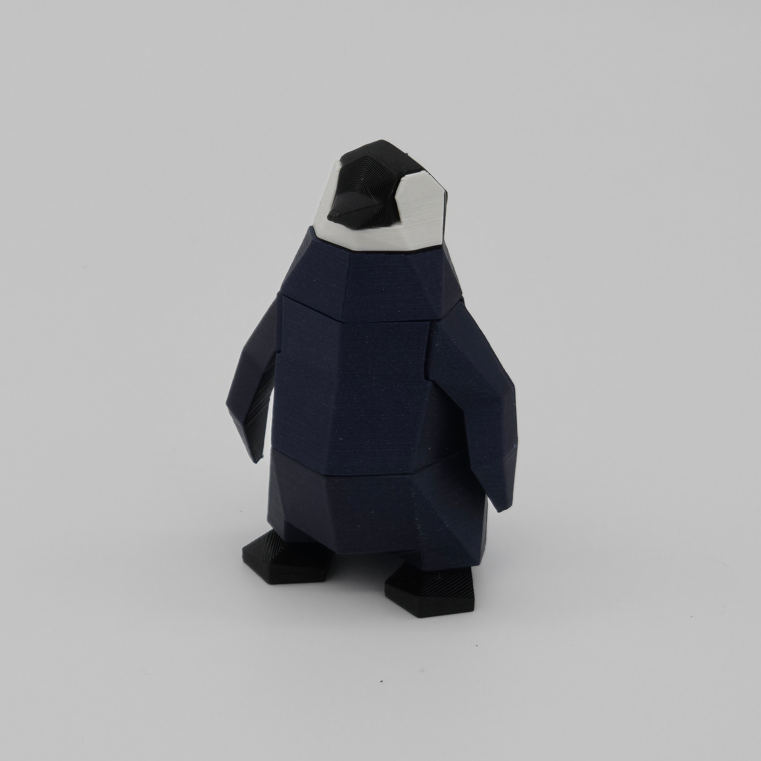 Penguin Chick