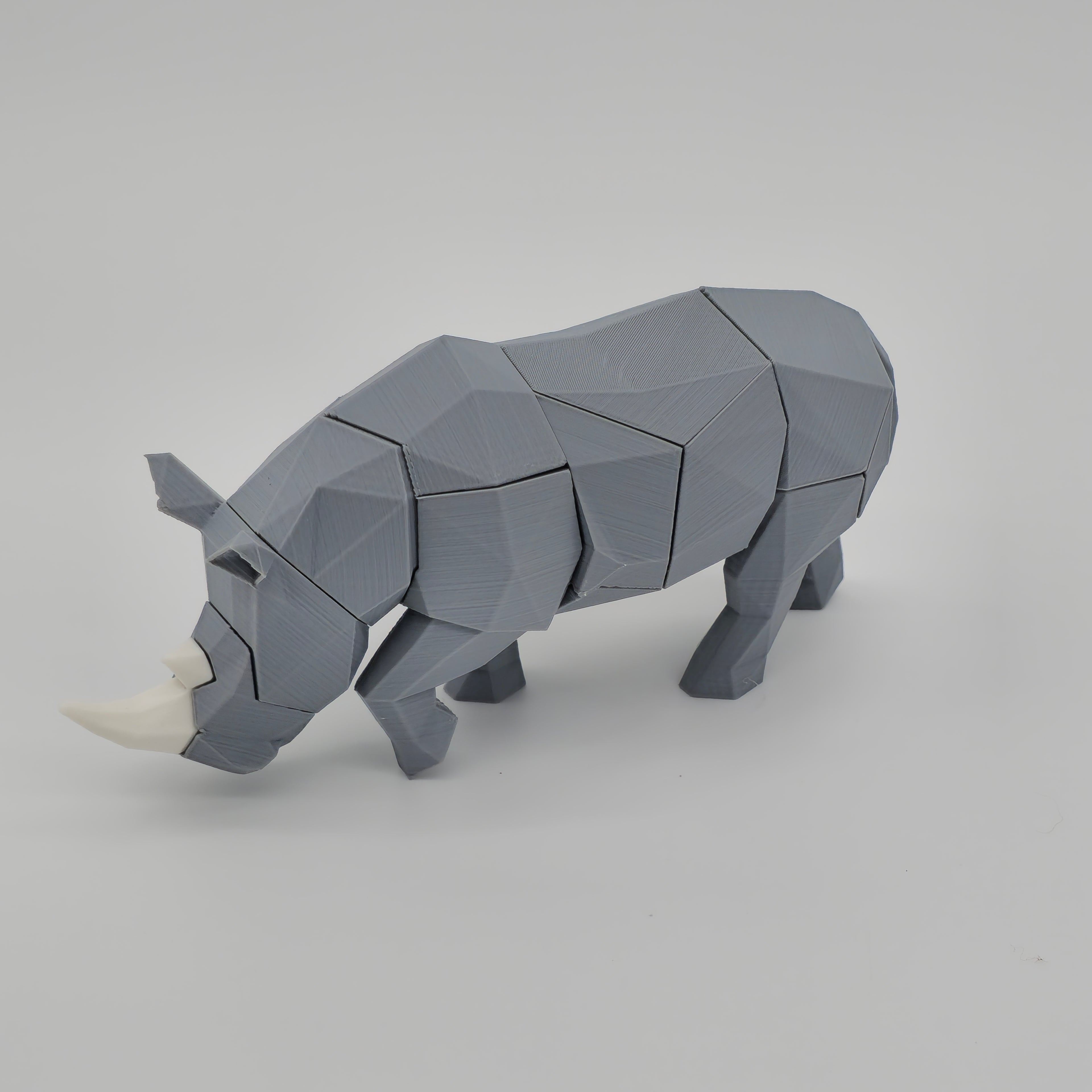 Rhinoceros