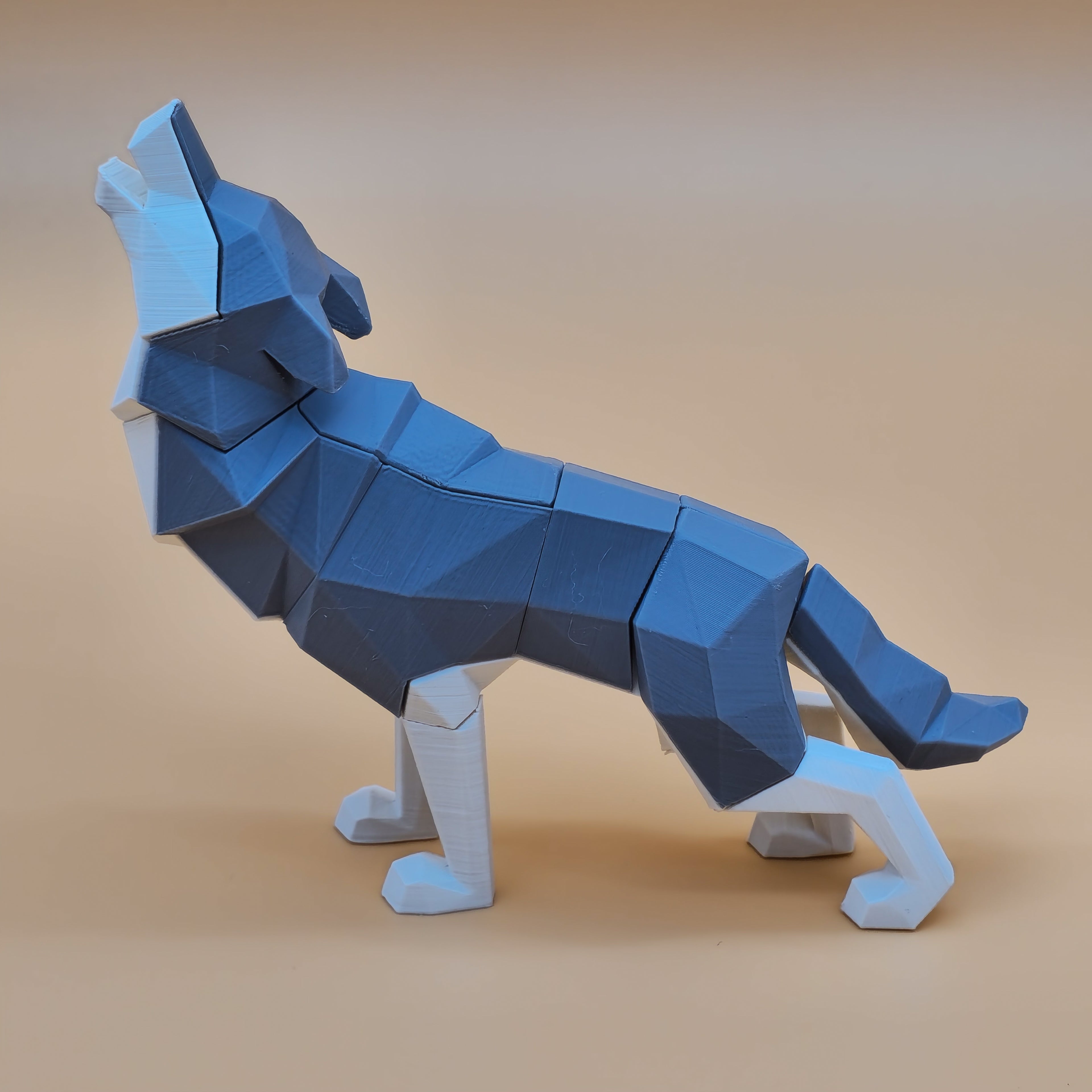 Gray howling wolf magnetic puzzle on a beige background